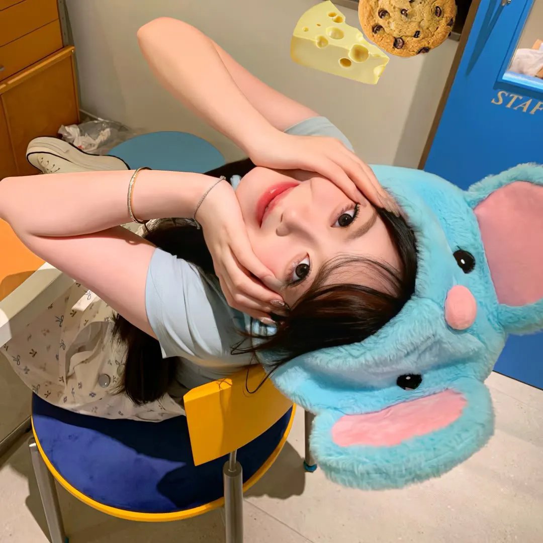 宝窗选婿