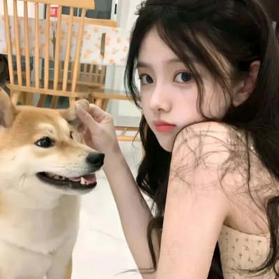 你是猪
